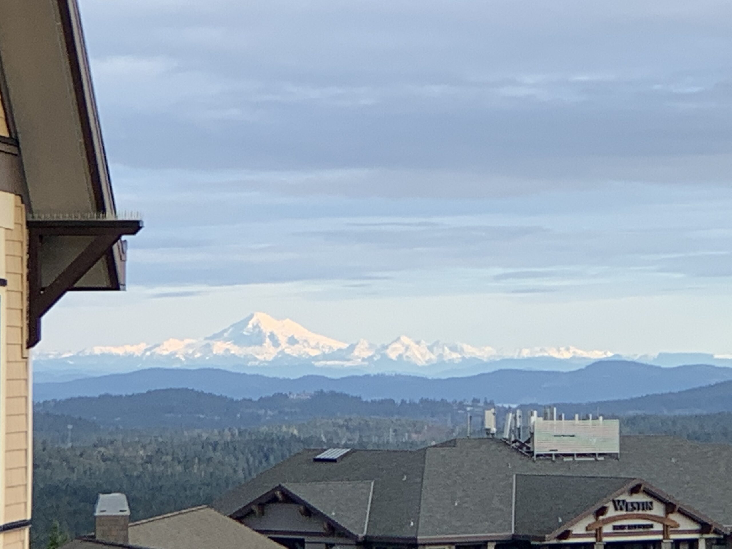 A picture of Mt. Baker from Victoria.