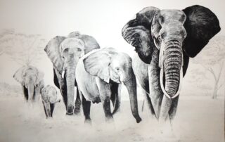 A painting of a family of elephants by Keith Cains.
