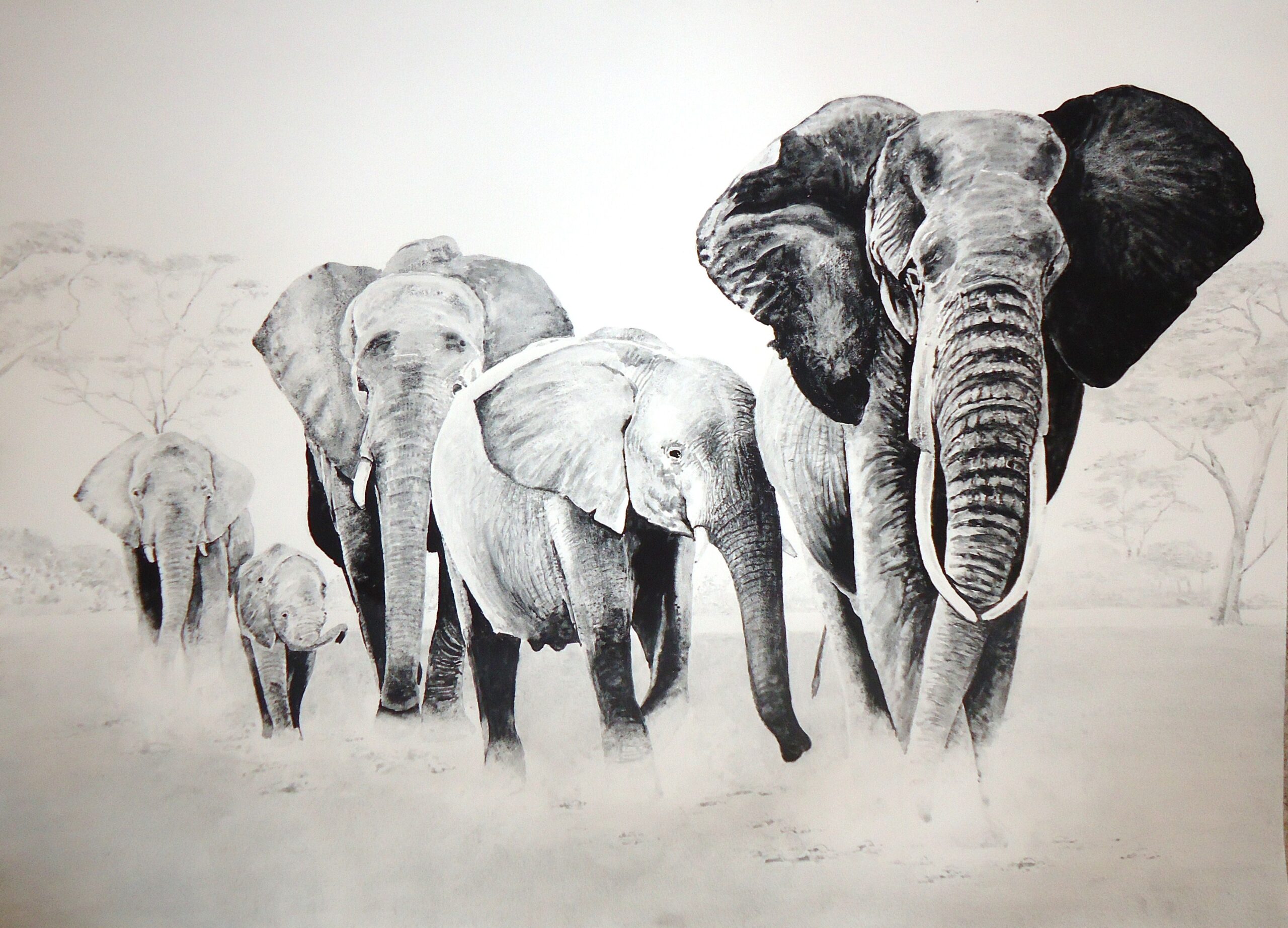 A painting of a family of elephants by Keith Cains.