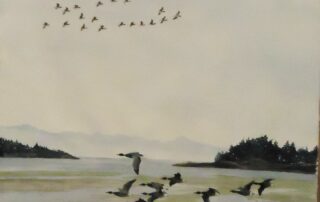 A water colour painting of some Brandt geese flying low over a sandy shore with additional geese flying high in the sky by Keith Cains.