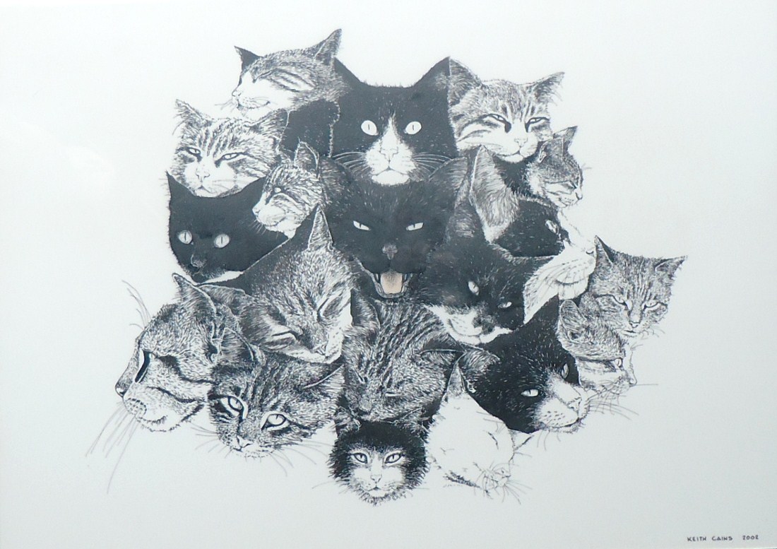 An ink on Mylar image of over 10 cat heads of differing kinds and with various expressions by Keith Cains in Sidney, BC.