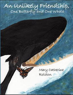 The front cover of the children's story "An Unlikely Friendship, One Butterfly and One Whale" which features a close-up shot of an orca breaching the surface of the ocean with a butterfly hovering above.